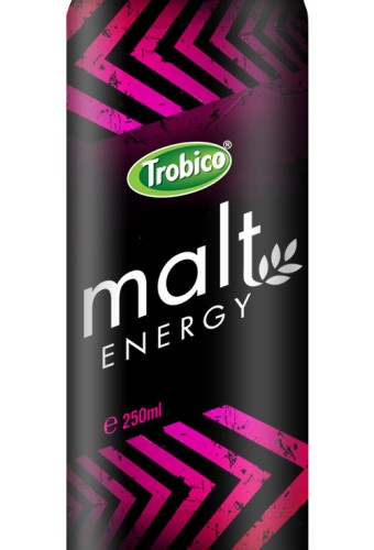 Malt energy alu can 250ml